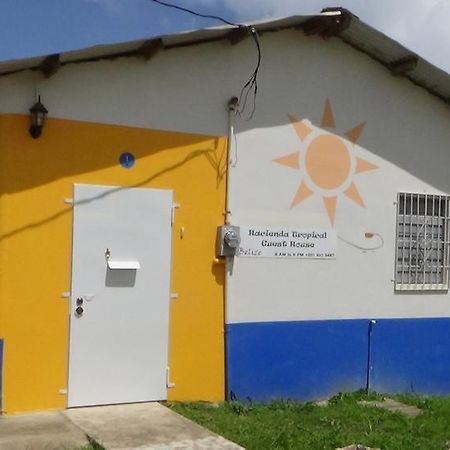 Hacienda Tropical Guest House Belmopan Exterior foto